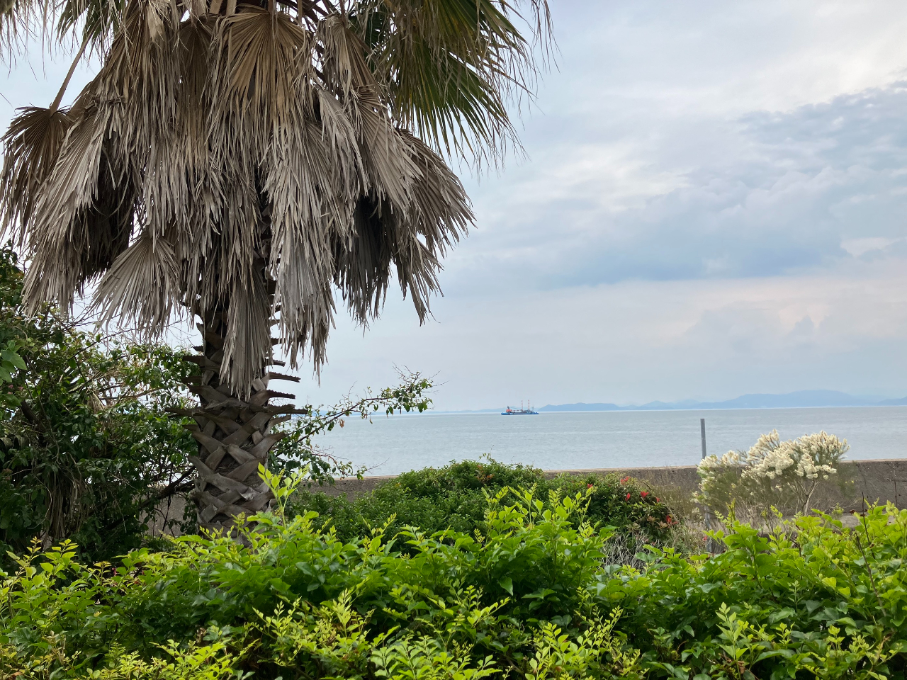 西海橋と針尾の無線塔3本が見える。天気の良い日は特に最高日本国内で大正時代に建設された塔状構造物としては唯一現存する最も高い構造物である。国の重要文化財