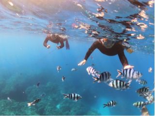 シュノーケリング