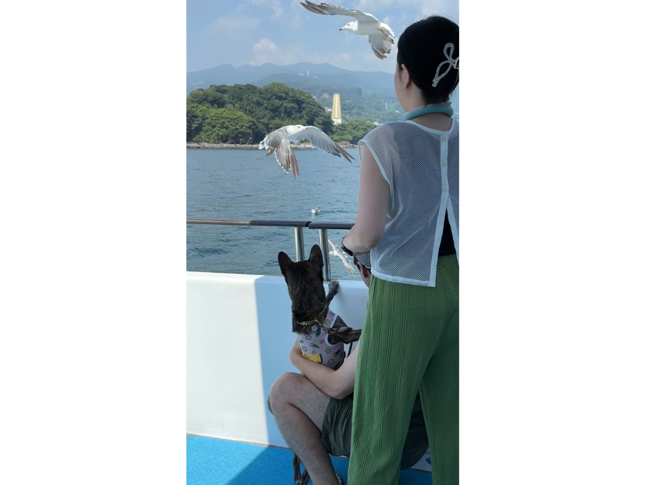 ��؂ȃy�b�g�̊F��������ꏏ�ɃN���[�W���O�I�����߂ɋ����ÁX�ł��B