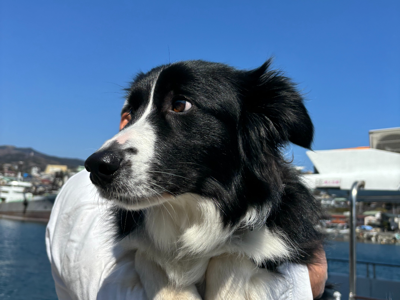 ���^�E��^���̊F�l�̓f�b�L�ɂĂ��y���݂��������܂��B