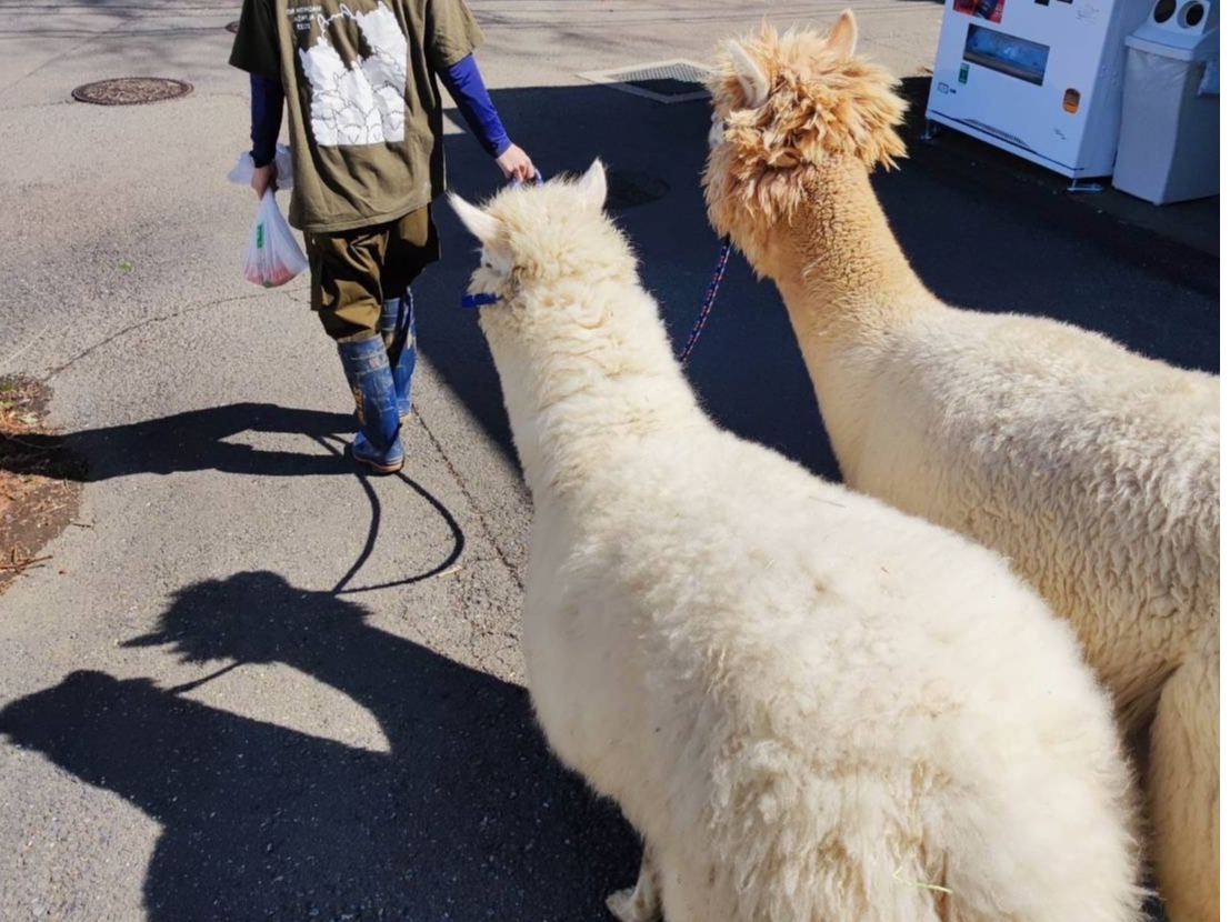 アルパカさん専用 ☆【アルパカさん専用】 【公式通販】