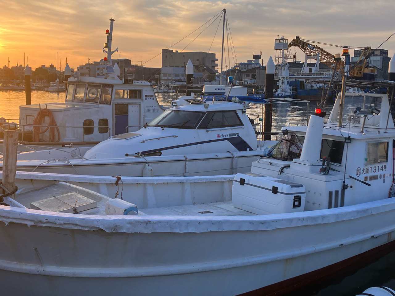 《午後便・乗合》【和歌山市駅スグ】2024年スタート!!女性や子供も楽しめるタイ...