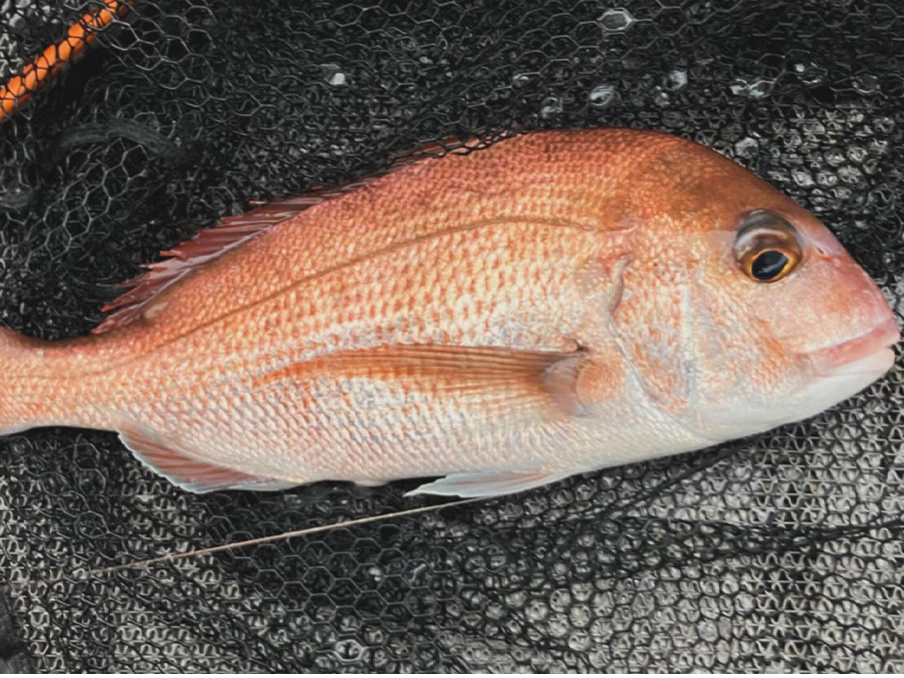 IkE̐^͒ɝ܂iuh^ƌĂ܂B