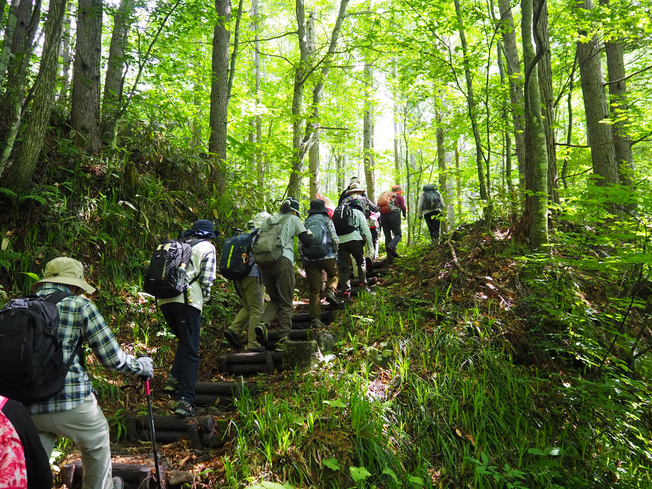 歴史を感じながらじっくりと歩を進めます