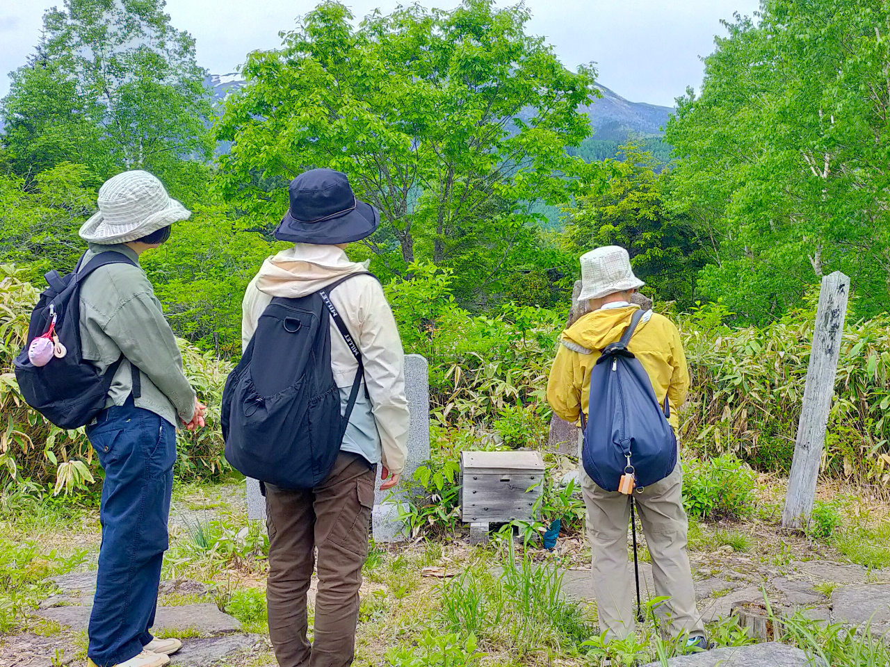 皆さんが食い入るように見てる先には…