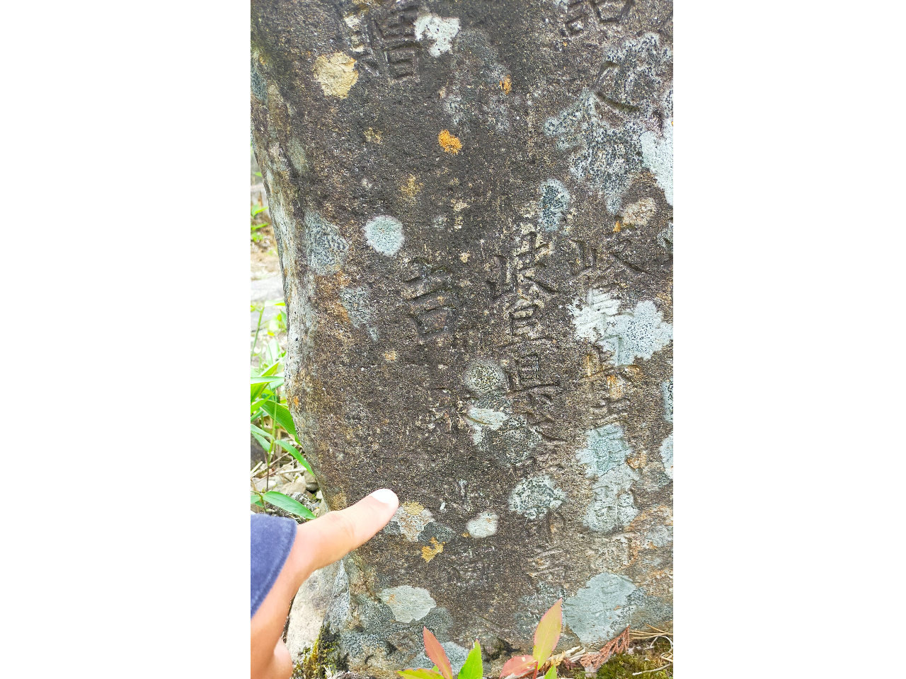 あの大女優の名前が!?