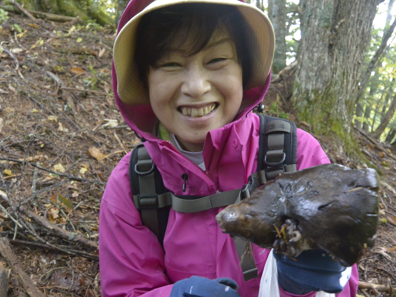 これは!あの高級キノコ!!