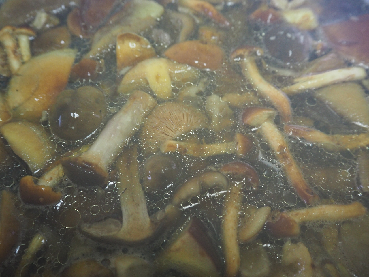 キノコ出汁のハーモニ〜〜♪