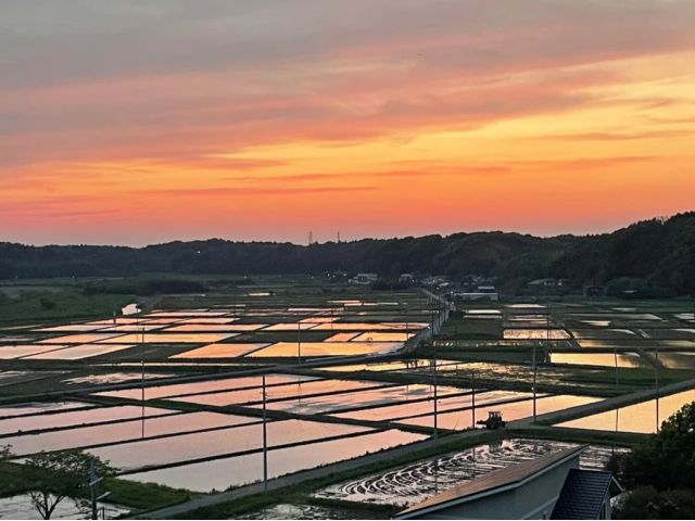 眼下に西印旛沼全域が一望できます