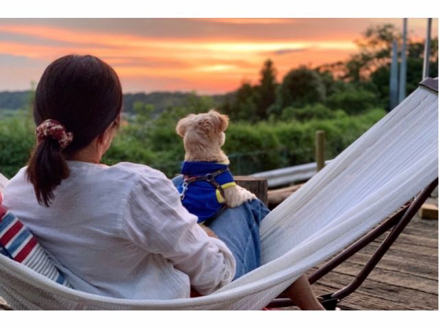 ワンちゃんOK♪