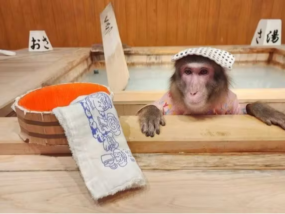 ☆お得なセット☆【100円引】おさ湯＆かぴ湯 前売り共通券【おさ湯1階