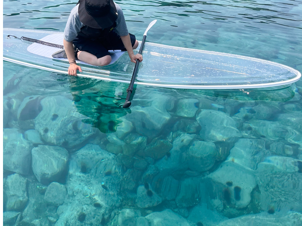 SUPの上からウニがたくさん見えます♪