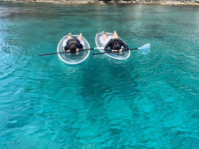 クリアSUPで海の生き物探し♪