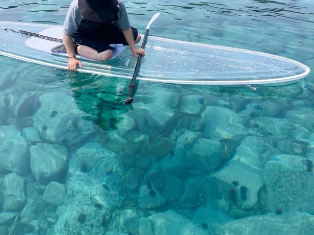 SUPの上からウニがたくさん見えます♪