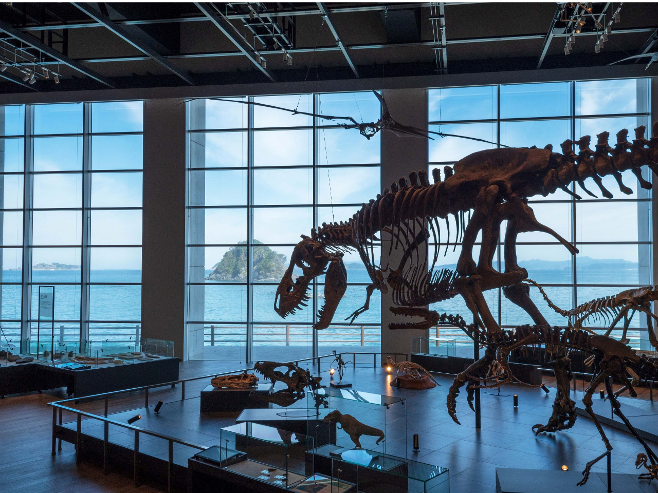 「恐竜」 と壁一面の窓から見える世界文化遺産「軍艦島」とのコラボレーションは必見です!