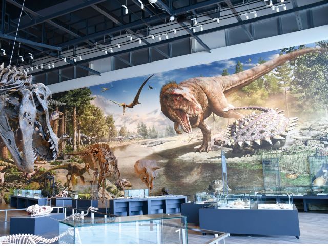 白亜紀後期(約8,000万年前)の長崎市の様子。発掘された化石に基づいて復元された大迫力の壁画です。