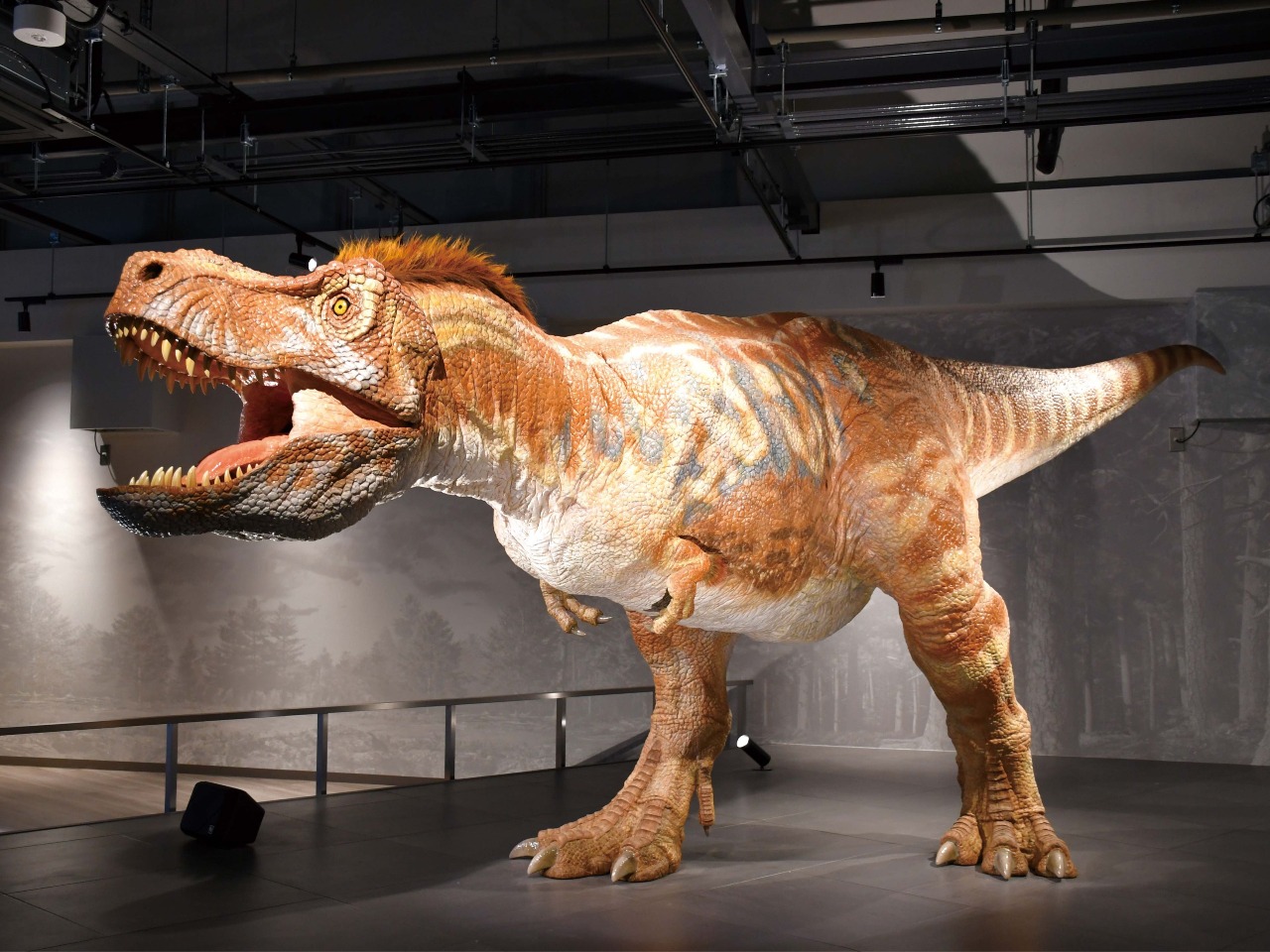 S6mɂȂ郍{bǵAŐV̊wɊÂHт؂ȂǂČĂ܂BɂkAi肷dȂǁAώ@Ă݂܂傤B