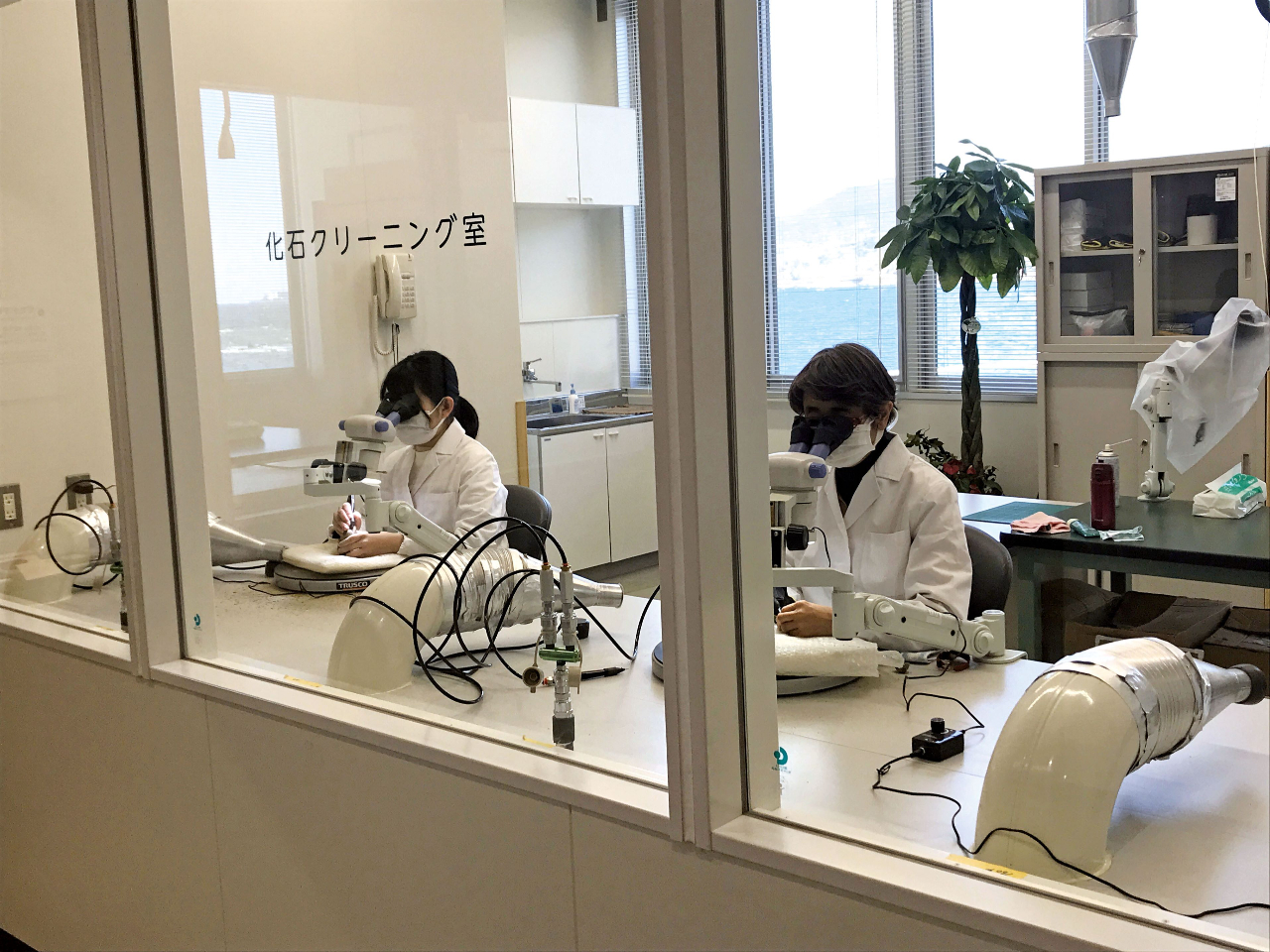 I[v{́A̎Rjقł͐ȂwbsAXLi𓱓Ă錤A΂牻΂oN[jOȂǁAΌ̗lqwł܂B