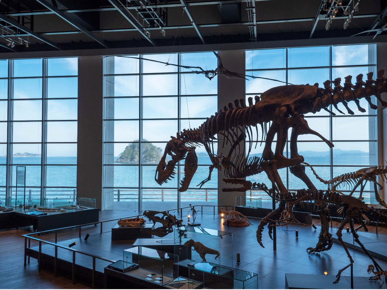 �u�����v �ƕǈ�ʂ̑����猩���鐢�E������Y�u�R�͓��v�Ƃ̃R���{���[�V�����͕K���ł��I