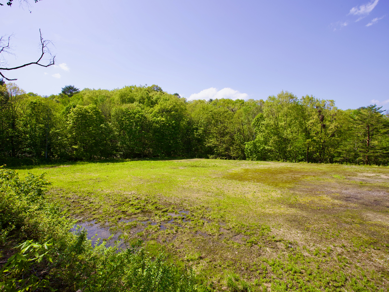 【岐阜・BBQ】デイキャンププラン 食材飲み物持ち込み自由!自然豊かな場所でBB...