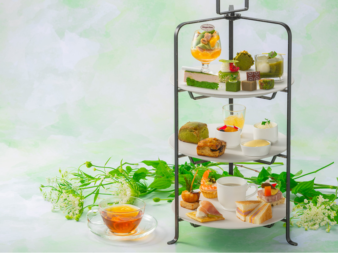 MATCHA �A�t�^�k�[���e�B�[ �u�g���f�B�V���i���v�C���[�W
