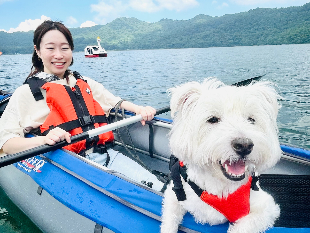 ������葆���̂��ǂ��􃏃��`������OK��