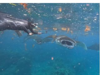 マンタシュノーケル