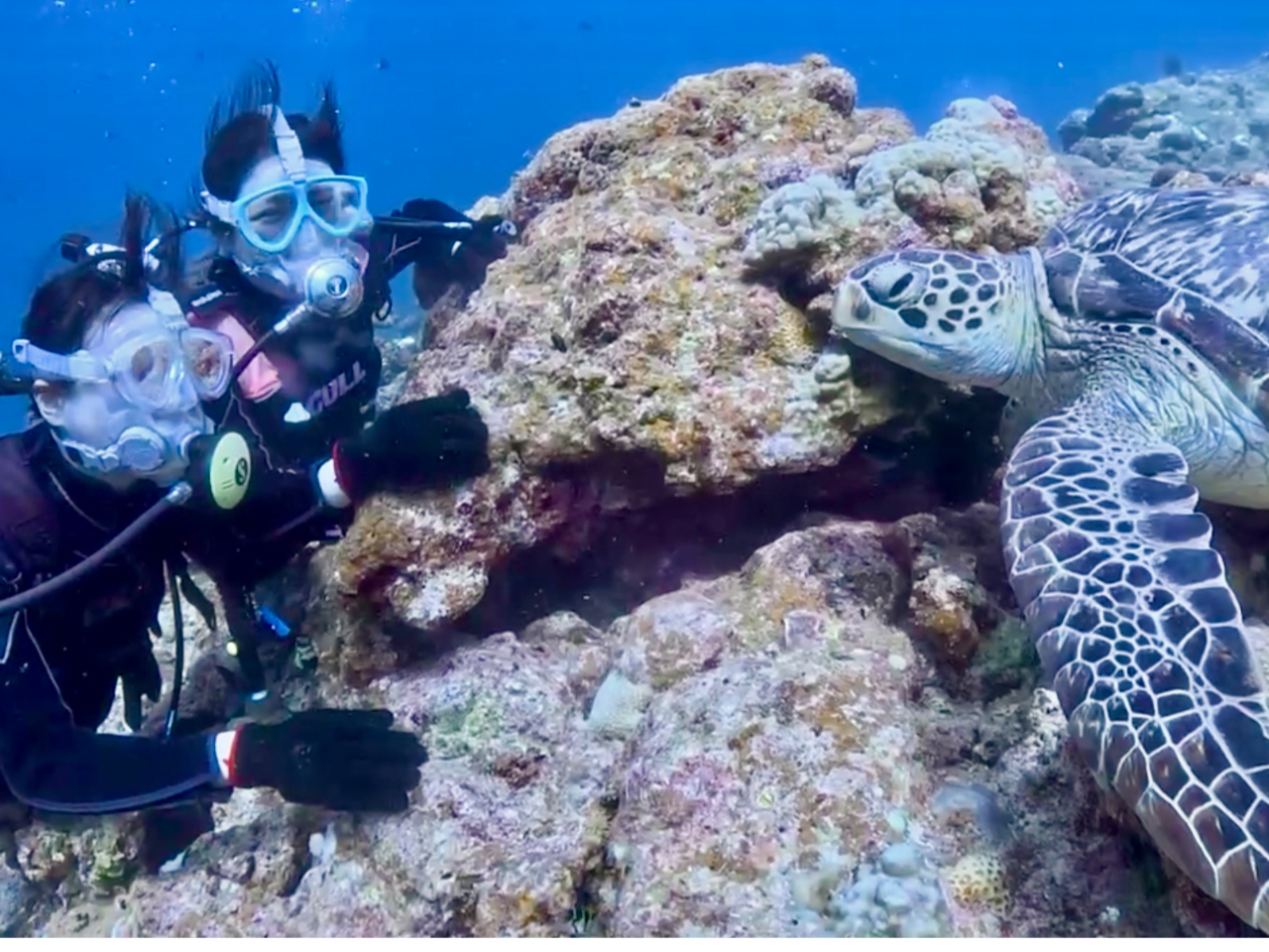 ttFCX}XÑ^B߂ĂłSłI