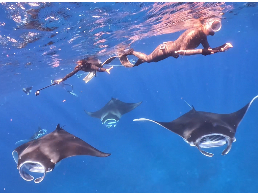 ~͂Ȃɋ߂Ń}^ɉ܂(12`3)