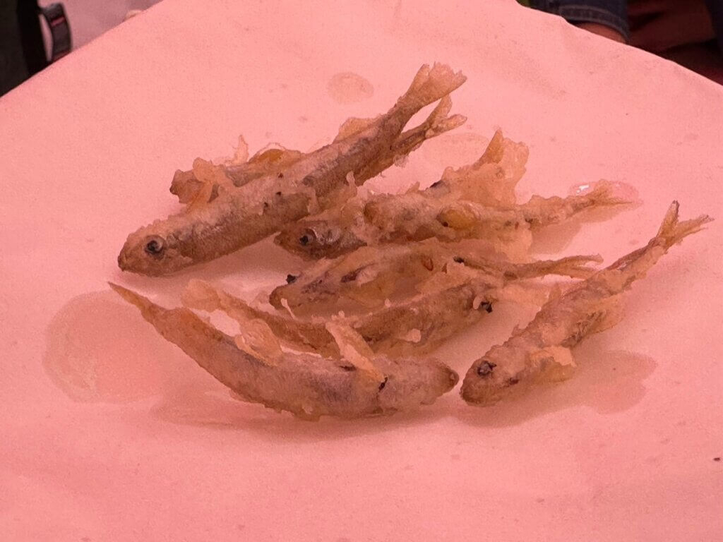 ���J�T�M�Ƃ����΂���ς�V�Ղ�I