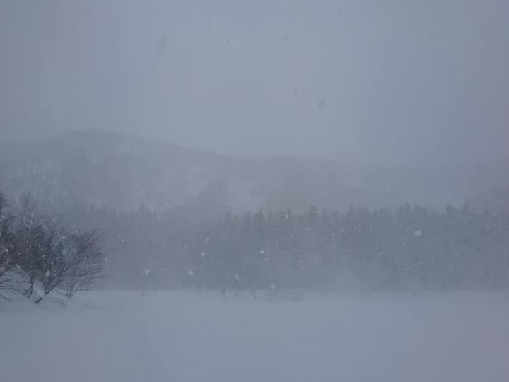 �O�͐�ł��e���g���͒g�����ł��I