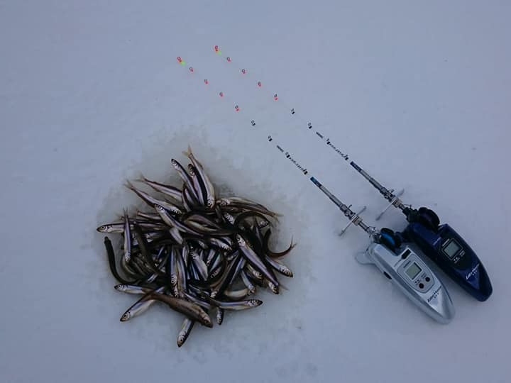 ���K�ȓ���Œނ肪�y���߂܂����A�v�]������Ύ�����ł��܂��I