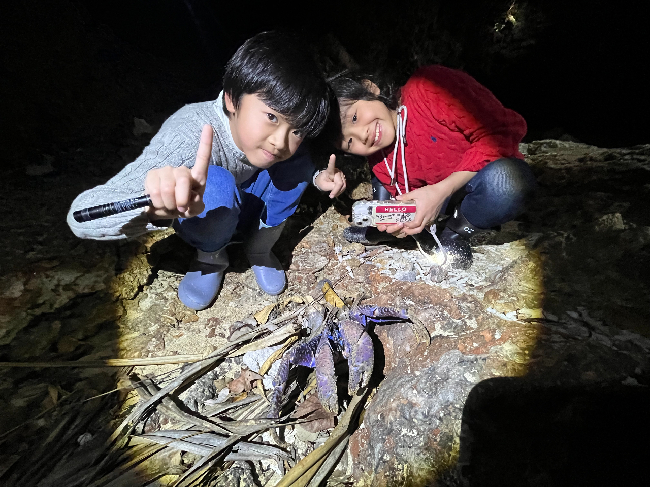 旧プラン【ヤシガニ遭遇98％】星空フォト＆ナイトサファリ＆ホタル鑑賞