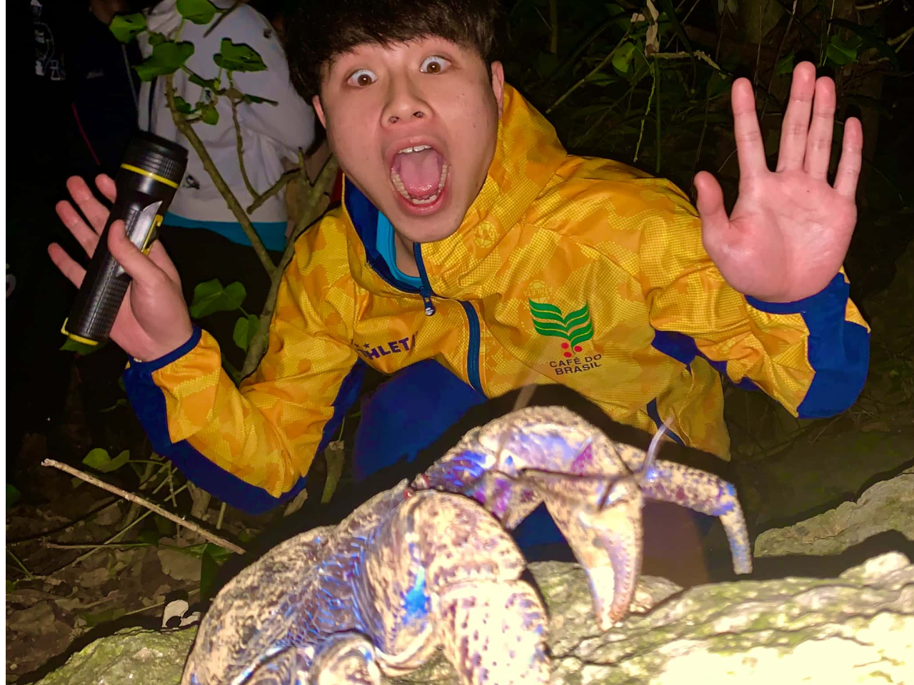 ヤシガニ遭遇98％】星空フォト＆ナイトサファリ＆ホタル鑑賞or100