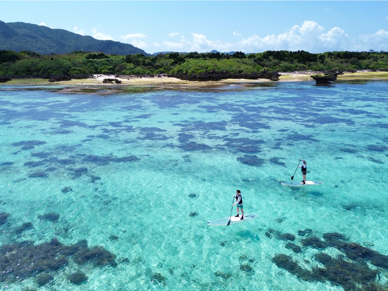 POOL 平野太呂　初版・帯なし 平野太呂の写真の話。「ある視点から見て集め、並べてみる