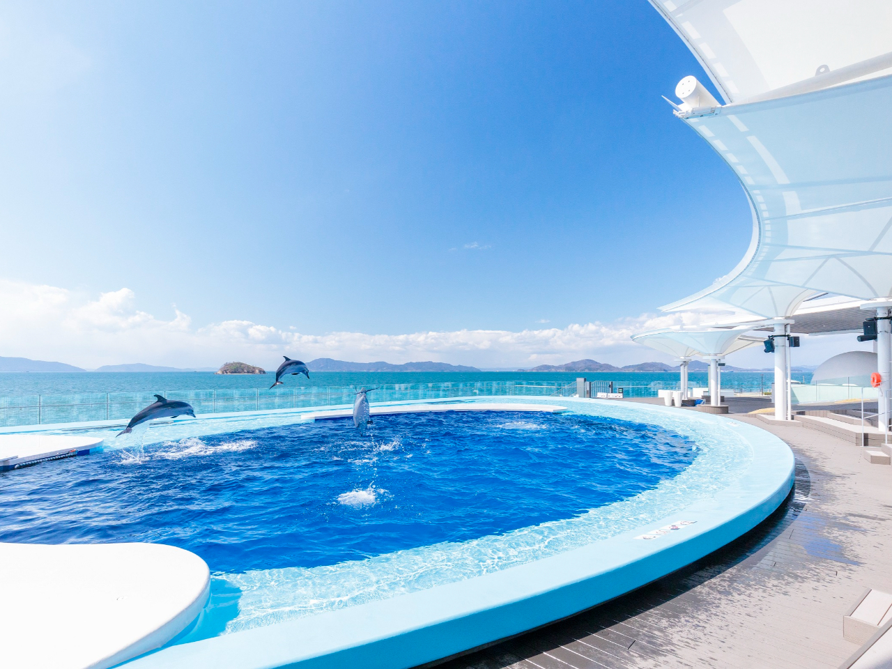 瀬戸内海に面した海豚プールでは、トレーナーとマダライルカたちが、息の合ったパフォーマンスをお見せします!