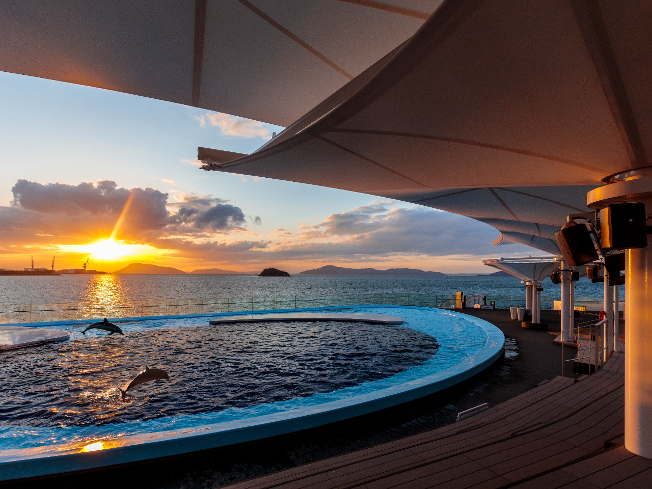 黄金色に染まる空を背景にイルカのシルエットが浮かび上がる、まるで絵画のような景色を観覧できます。