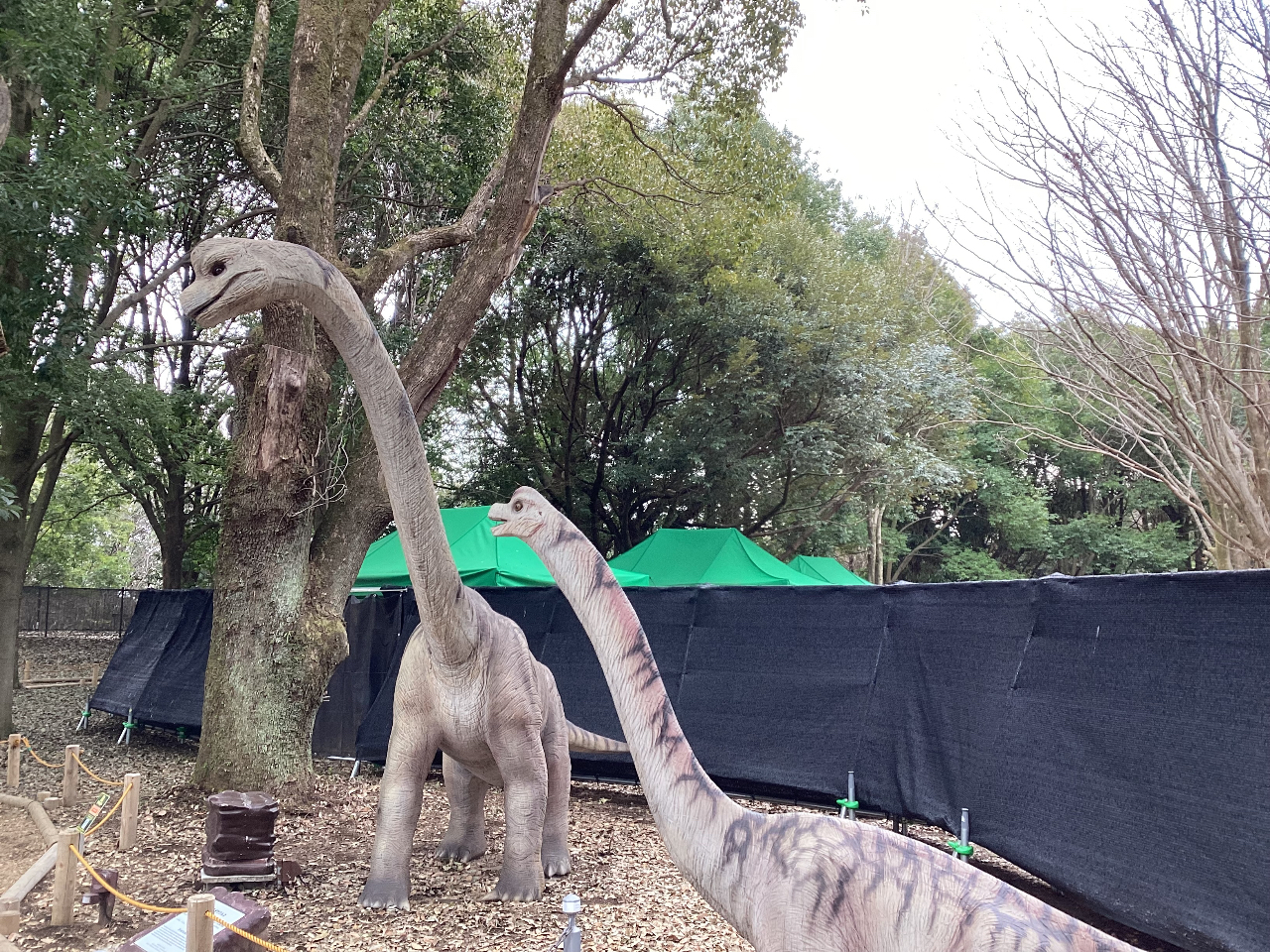 ZސXw勰p[NxT̑`ɏo悤