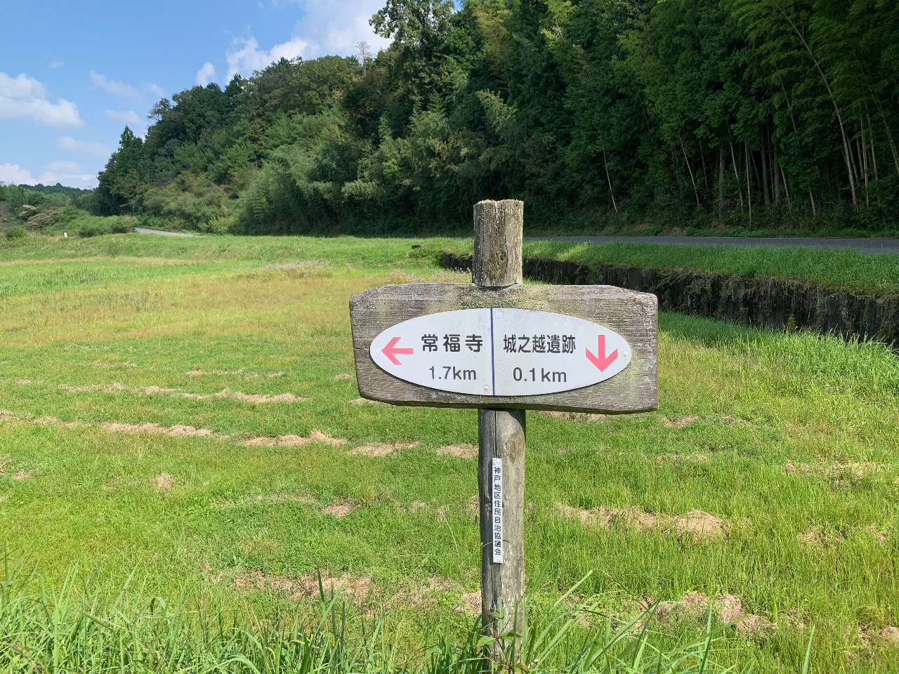 �c���n�т̃n�C�L���O