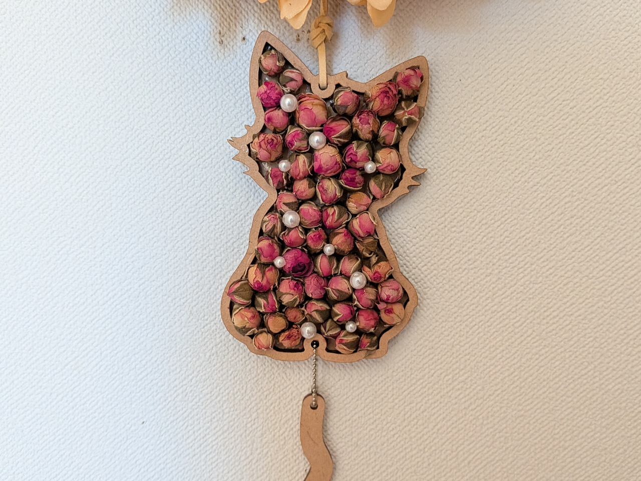 �l�R�����i�h���C���[�Y�����āA�L���L���p�[�����������ɓ���܂��񂩁H�j�i�_�Ń��C�g�����O�t�j