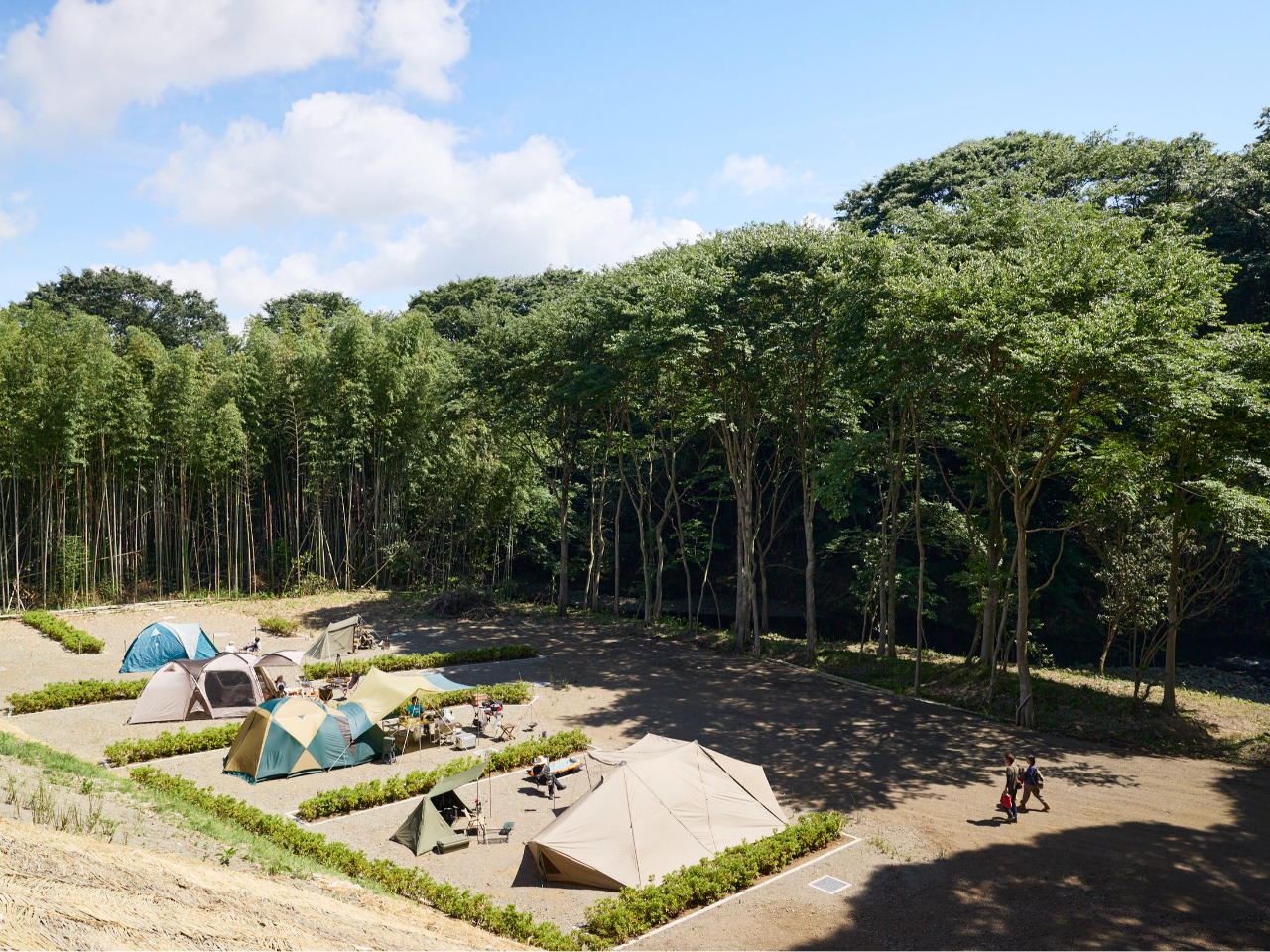 �����юR�L�����v��@�S�i