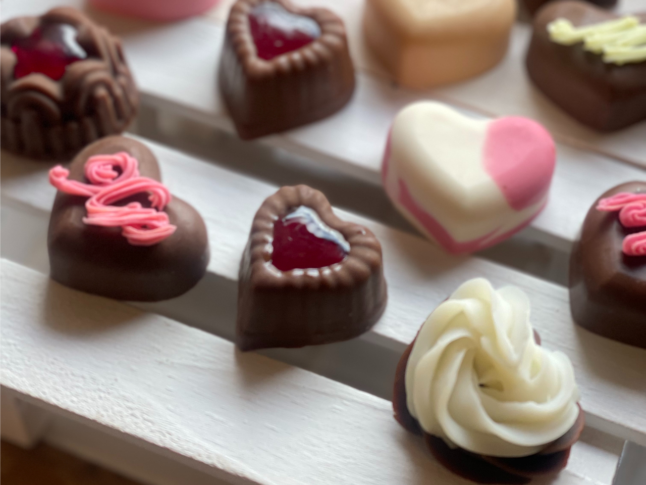 coni}[xXVR\[v{VLBN[\[v1day̌bX