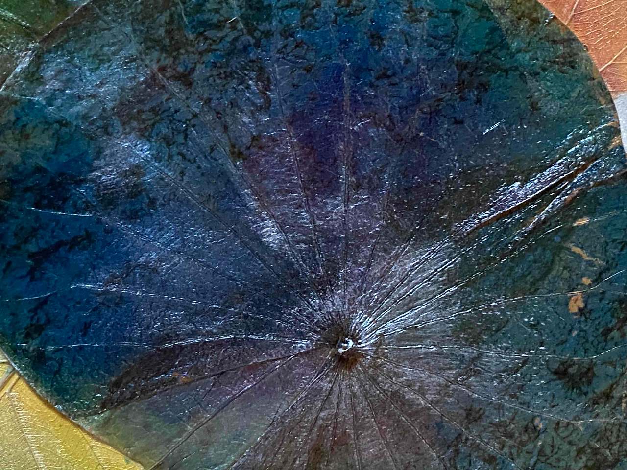 u[AIWAFAA΁AVo[Ȃǂ̐FŒFĂ܂B