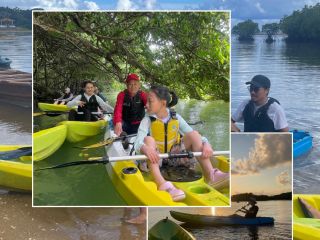 宮良川のマングローブは国指定の天然記念物!気のいい仲間と天然のジャングルクルーズで思い出に残る体験を!