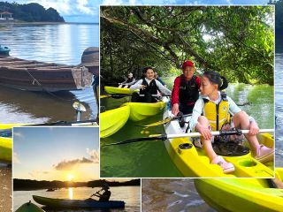 石垣島で人気のアクティビティー!マングローブカヌー体験!カヤックには腰に負担の少ない腰当シート付!大自然を満喫しよう!