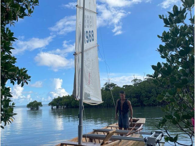 マングローブも楽しめます!