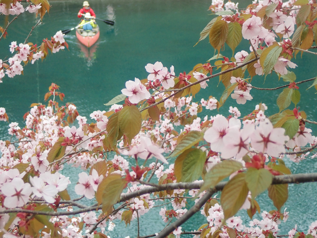 �c�A�[�̓r���ł͔������ԁX�ɂ��o��܂��I