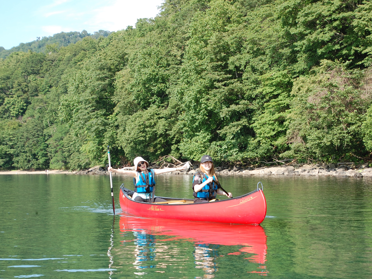 �Ă͐��V�уV�[�Y����