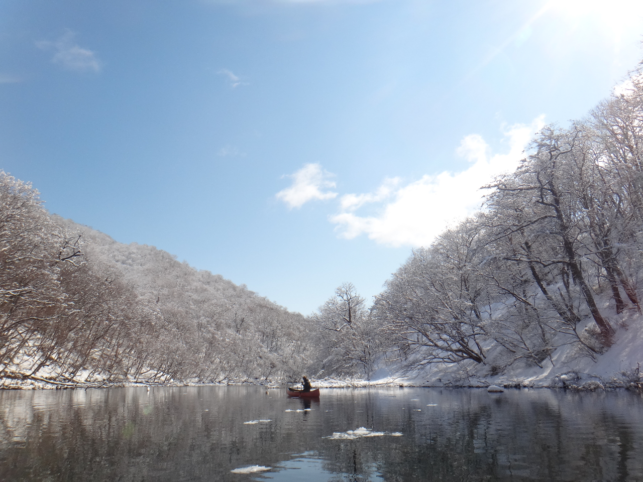 ��C���Ȃ�ł͂̐��񂾐�B