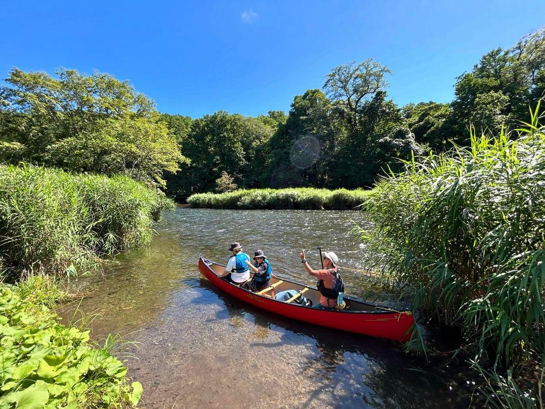 X^[gꏊɂďoIǂƂ̃V[gƂ͖΂̑喞R[X